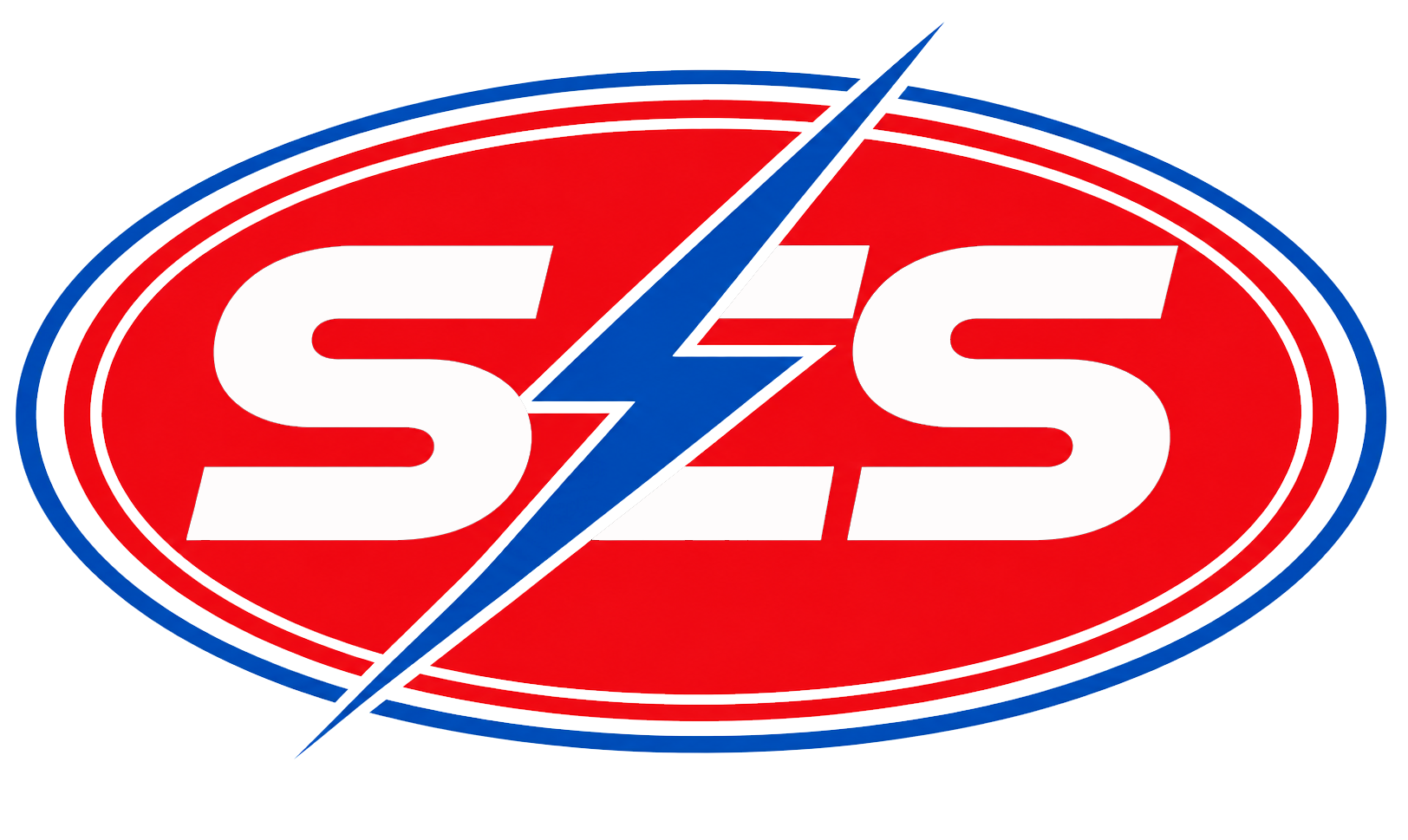 Singh Earthing System Logo